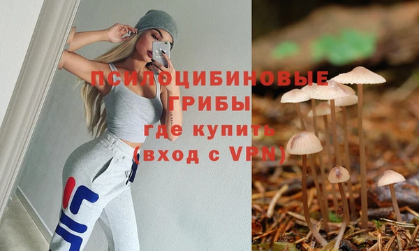 трава Инсар